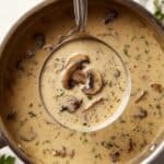 Creamy Mushroom Soup Recipe