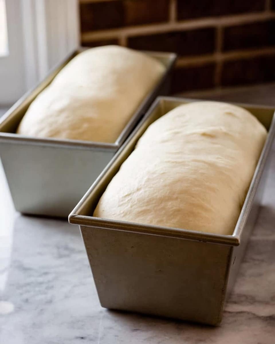 Two metal loaf pans each hold a single large loaf of pale dough that has risen above the rim. The dough is smooth and slightly shiny, with a few small dents on its rounded top surface. The pans rest side by side on a white marbled countertop, with a blurred brick wall in the background. The light casts soft shadows under the pans, showing their simple geometric shape and the dough’s plump, soft texture. photo taken with an iphone --ar 4:5 --v 7